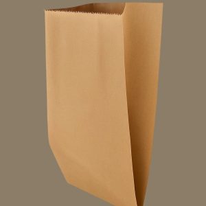 Brown Kraft Paper bag 1