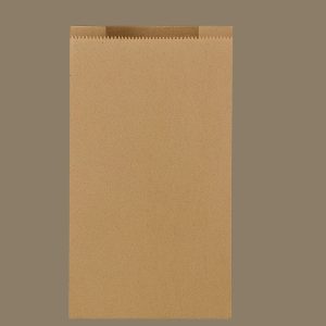 Brown Kraft Paper bag 2